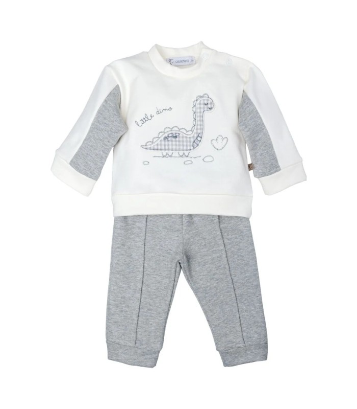 Conjunto sport niño gris algodón elastano sudadera volante diseño dinosaurio pantalón textura suave en fondo blanco