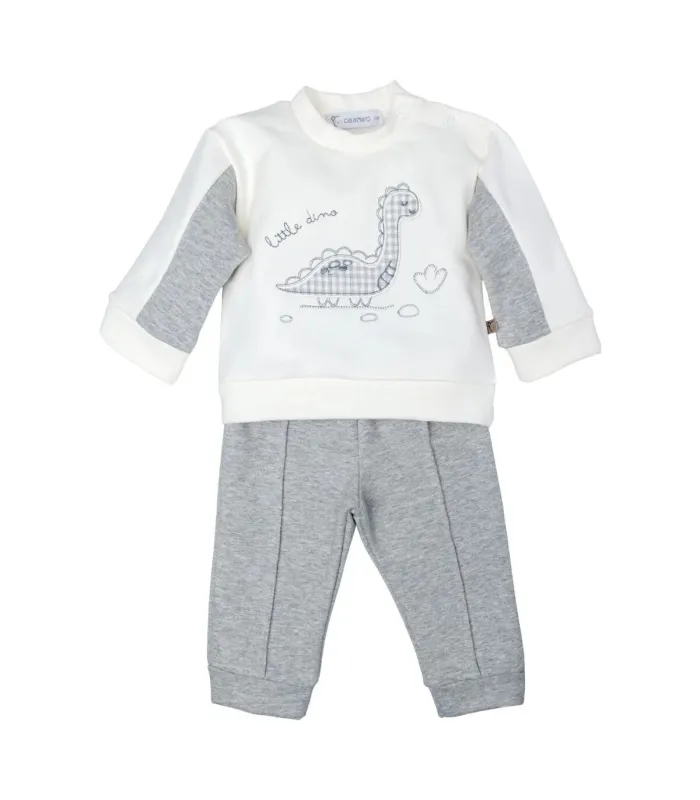 Conjunto sport niño gris algodón elastano sudadera volante diseño dinosaurio pantalón textura suave en fondo blanco