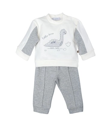 Conjunto sport niño gris algodón elastano sudadera volante diseño dinosaurio pantalón textura suave en fondo blanco